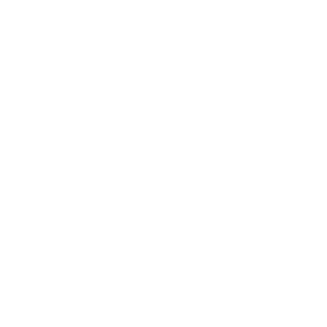 Social Icon_Twitch